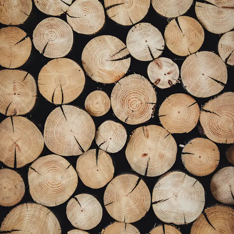 Raw Wood